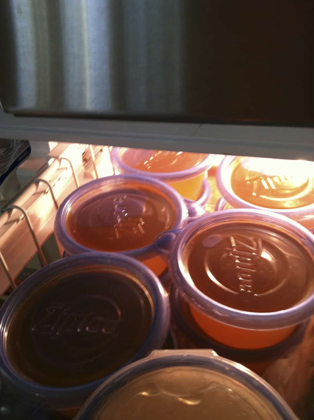 Freezing Foods for Later