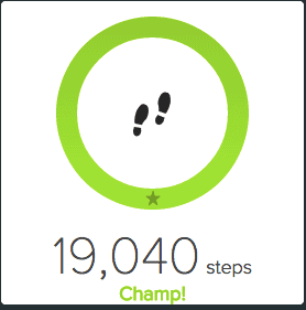 10,000 Steps Starts with One Step at a Time
